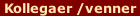Kollegaer /venner